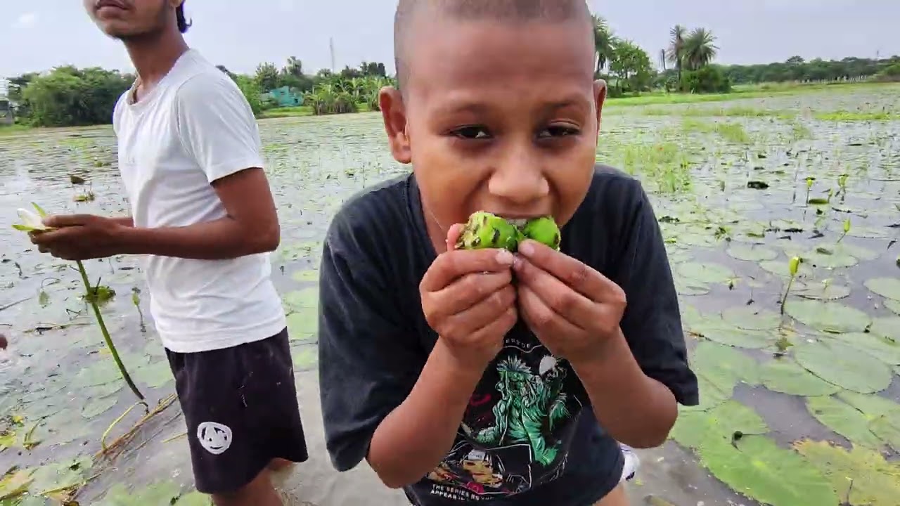 মাছ নয়, শাপলা ফুল আর ফল নিয়েই জমে গেল মজা! 😋🌿 | Funny Village Vlog | Itz Leader X