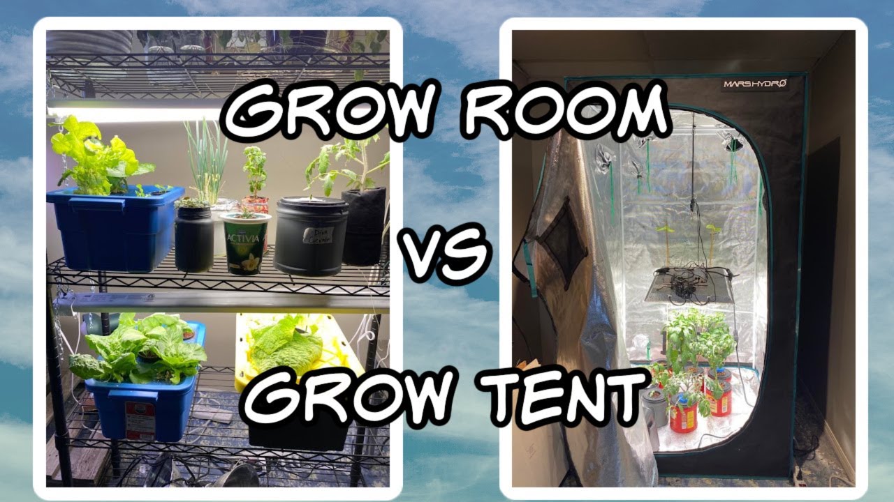 Best Indoor Growing System. Which is Better Grow Room vs Grow Tent