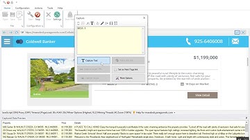 Scraping real estate data from paragonrels.com using WebHarvy