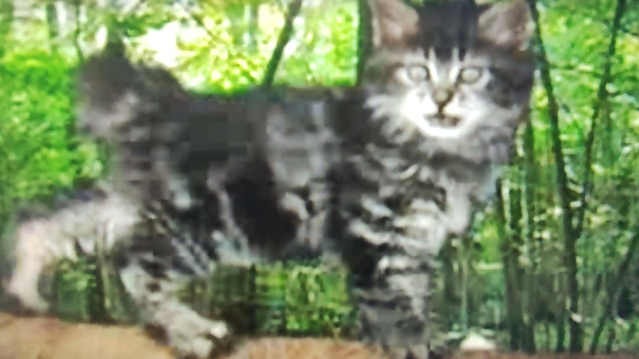 сказки Баженова буква ч - YouTube