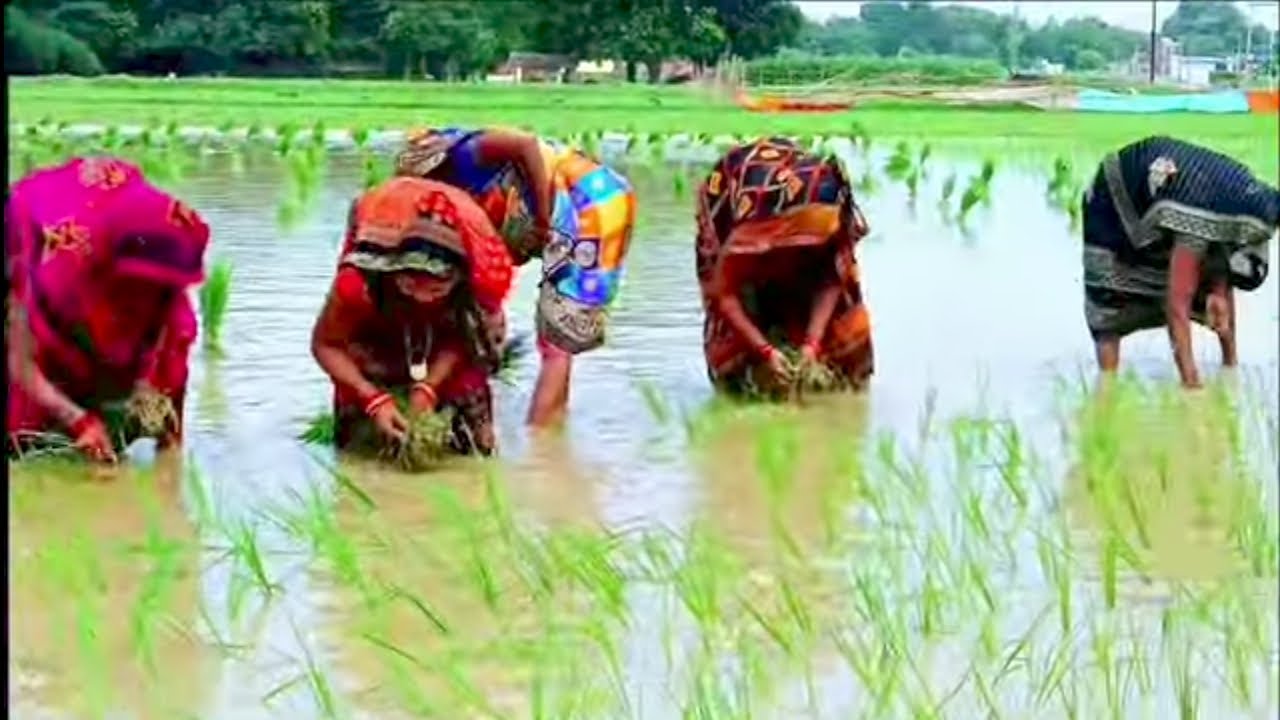 बहुत सुंदर कजरी गीत ।। मधुबन बज रही बांसुरिया ।।# रानी देहाती गीत ।।