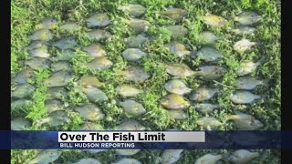 Vacationers Charged With Taking 676 Fish From MN Lake