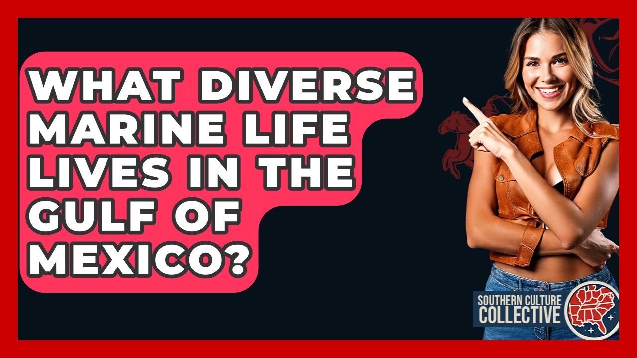 What Diverse Marine Life Lives In The Gulf Of Mexico? - Southern Culture Collective