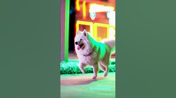 Yapay Zekada Son Nokta / Introducing Sora OpenAI’s text-to-video model #Sora #OpenAı #ChatGPT #Sora