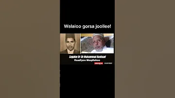 Walaloo Gorsa Joollee Sh Dr Mahammad Rashaad Abdullee Reediyoo Moqdishorraa 