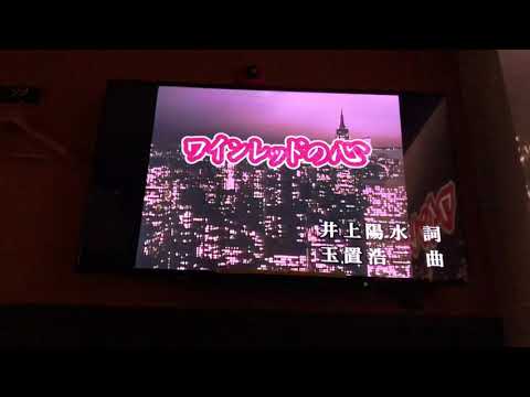 【ワインレッドの心/安全地帯 】      21歳が歌ってみた   カラオケ
