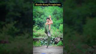 eagle kata👊🥋 //#kungfu #fighting #shorts #prakash