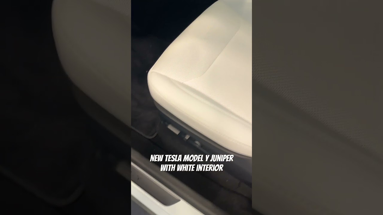 New Tesla Model Y - White or Black? 🤔