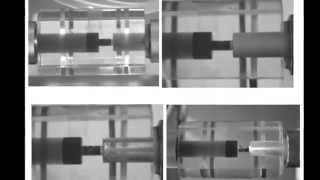 Celebrity Cold Fusion Russia - Physics can be beautiful  ХТЯ и ШМ Wealth