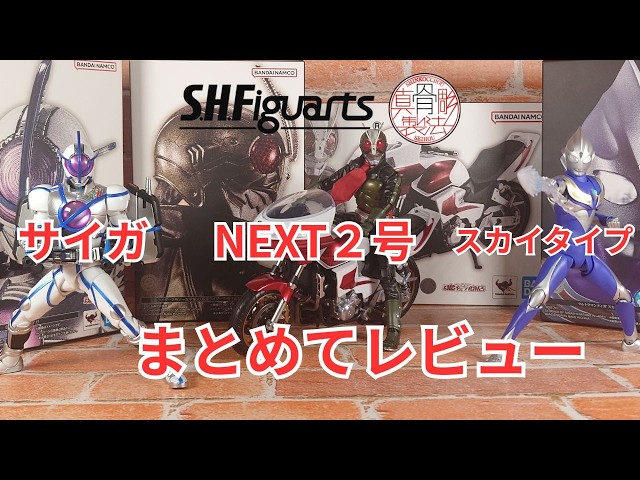 フィギュア】念願のフィギュアをまとめてレビュー,S.H.Figuarts真骨彫