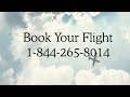 Full-© List of ✮﻿Priceline ® Customer® Service Contact Numbers in the USA : A Complete 2025 USA