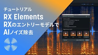 【RX Elements】RXのエントリーモデルでAIノイズ除去（字幕）