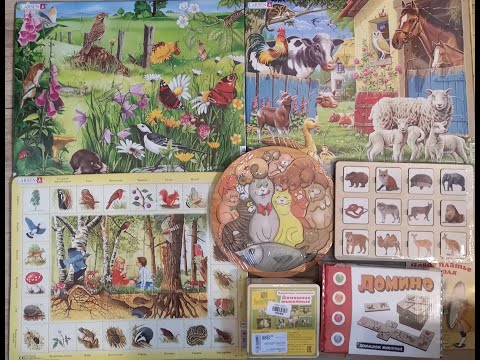 NEW! ❤️ #Ozonru покупки в сентябре