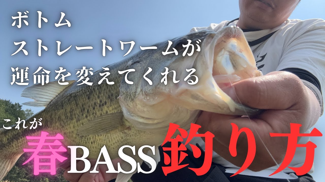 【佐賀バス釣り】爆釣‼️肝はストレートワームとボトム‼️これでみんなも爆釣です‼️