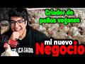 Goblinciano se DEDICARÁ a criar pollos VEGANOS y FELICES