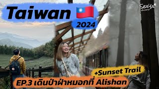 SEAYA - Vlog Taiwan Ep.3 เดินป่าฝ่าหมอกที่ Alishan และ Sunset Trail