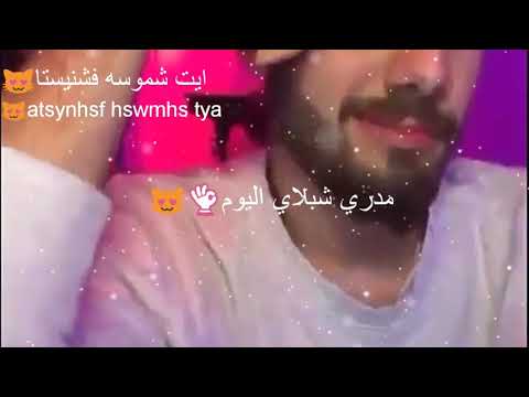 مدري شبلاي اليوم
