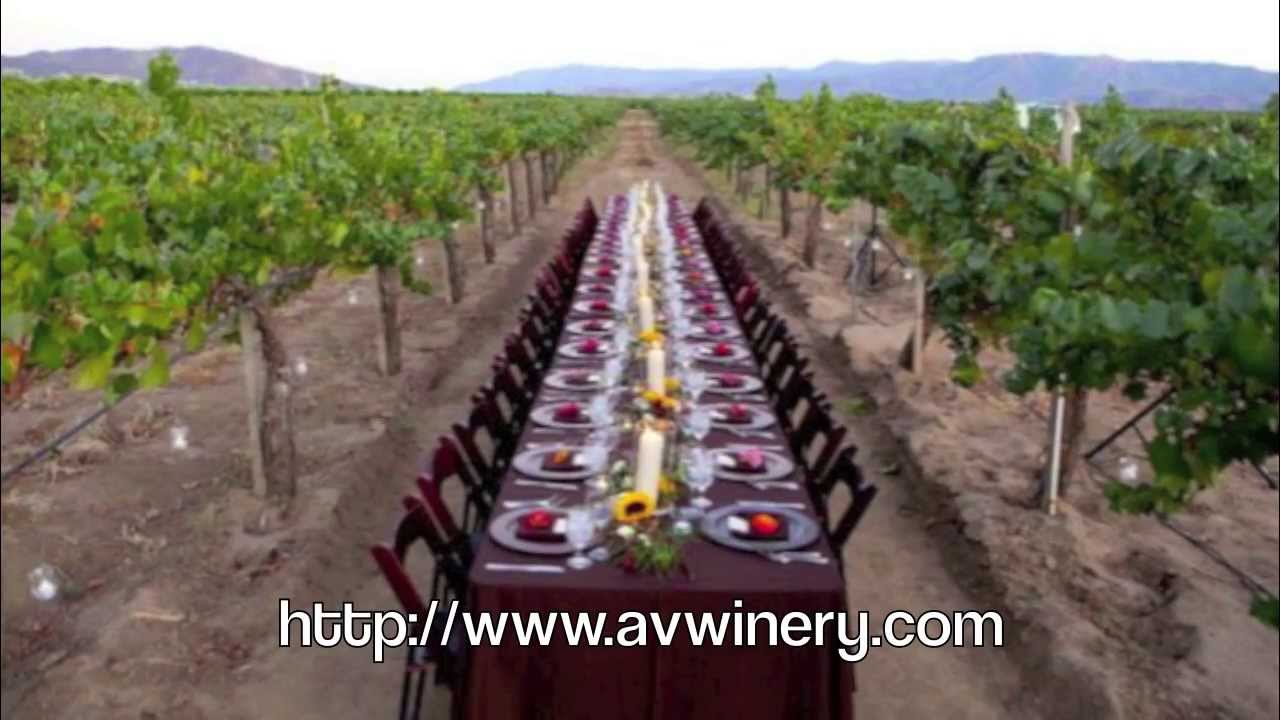 Farm to Fork Wine Dinner in the Vineyard!