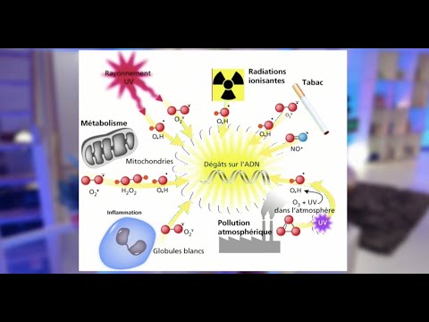 Vidéo: Télomères, Stress Oxydatif Et Facteurs Inflammatoires: Partenaires De La Sénescence Cellulaire?