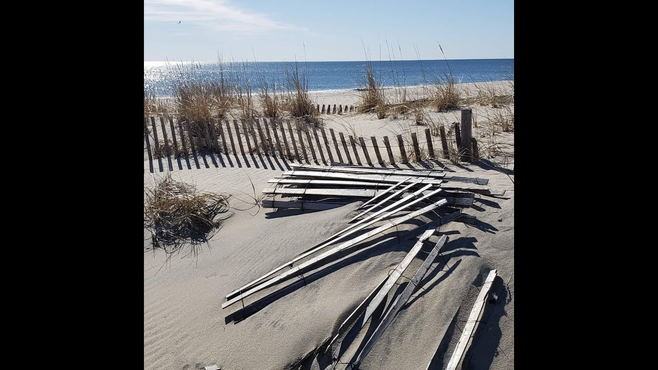 Jersey Johnny Flora performs "AT THE JERSEY SHORE" @ the Cafe Artiste , Halloween Show,