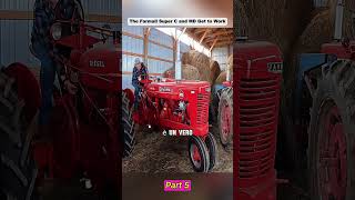 The Farmall Super C and MD Get to Work #tractor #farmlife #farming #hobbyfarm #mowing
