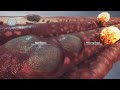 Middle of video