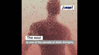 Islam.. And the physical calibration of the soul