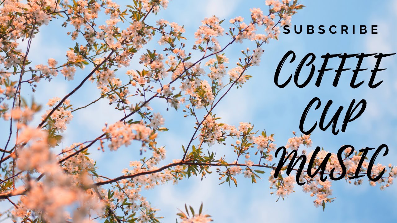 Coffee Cup Music Autumn / Fall Time Four Seasons Special study chill