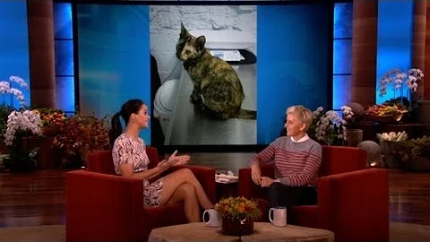 Jennifer Lawrence's New Cat