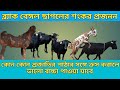 Best cross breed goats in West Bengal ব্ল্যাক বেঙ্গল ছাগল কে কোন কোন প্রজাতির সঙ্গে ক্রস করানো ভালো