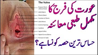 The Structure Of Women عورت کی فرج کا مکمل طبعی معائنہ حساس ترین حصہ کو نسا ہے