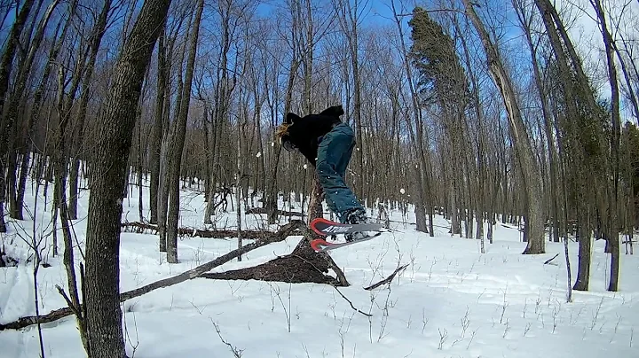 moose glades in spring 2018