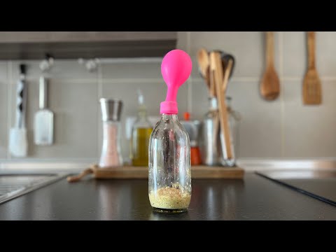 Ginger Bug Starter
