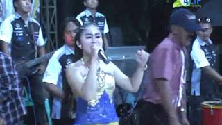 REZA SETIA....Rebutan Lanang