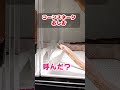 ニシアフが気になるコーンスネーク