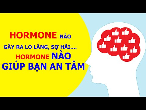 Video: Hormone Căng Thẳng Là Gì?