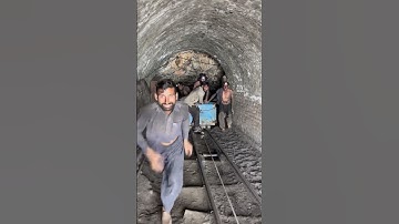 Log bahar araha hai don