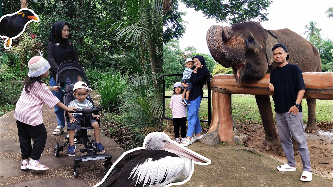 Main ke Lembah Hijau Lampung – Keliling Taman Satwa