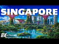 Explore Singapore&#39;s SKY GARDENS Like a Local Expert with 10 Years Experience
