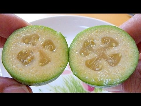 Video: Aké Je Použitie Feijoa