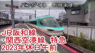 ＪＲ阪和線・関西空港線特急2023年休日午前　発着通過動画