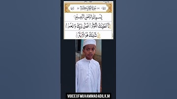 محمد عادل سورة الكوثر