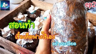 สอนทำเชื้อเห็ดฟางใช้เอง อย่างละเอียด(ตอนที่2)