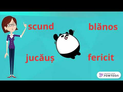 Video: Este felicitarea un adjectiv?