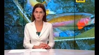 tkntn 20161013 0830 006