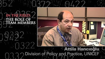 Understanding the MICS