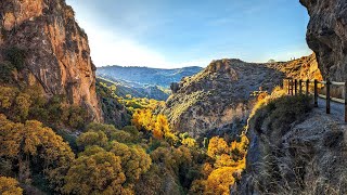 I walked to Monachil and it was all yellow