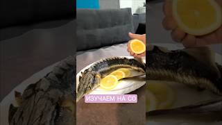 Изучаем на СО: «Царь-рыба: от икринки до Красной книги».