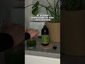 #витамины #спорт 🌿 Хлорофилл - WW369754 заказываю на wb 🫶🏻