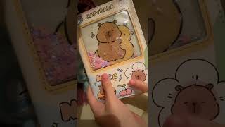 Capybara notebook💕🌸